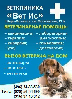 Зато сибирский ветеринарная клиника